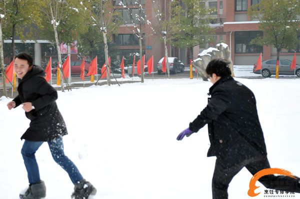 雪地里欢乐嬉戏