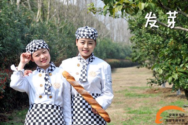 一天一天过去,一切都准备好了,它发芽了