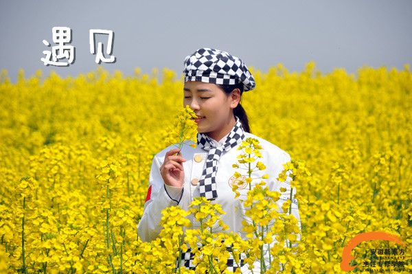 遇见你,是我一生的春暖花开
