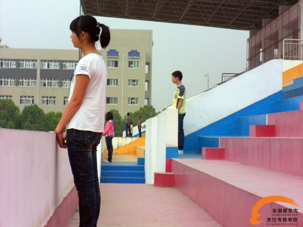 2015初中毕业学什么好？