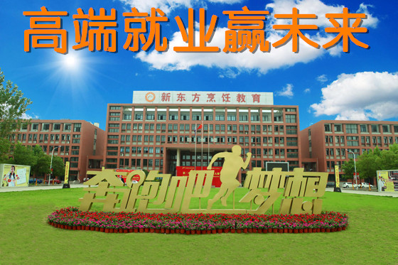 到安徽新东方学厨师，高端就业赢未来