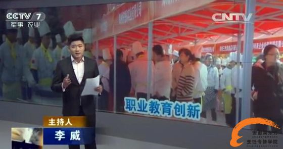 职业教育在现代教育中的角色