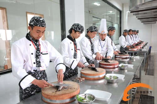 新东方短期培训好不好呢？