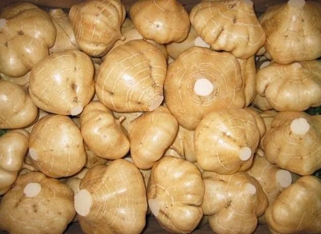 【科普】白薯，红薯和地瓜的区别在哪里呢？