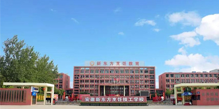安徽合肥新东方烹饪学校地址在哪