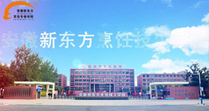 大师公开课