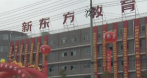 来新东方赢未来