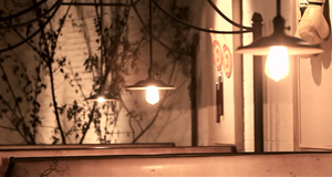 宋真真企业工作视频