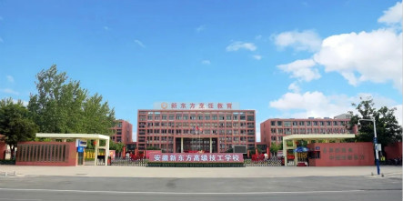 专业厨师学校VS饭店学徒，学厨师应该去哪里？