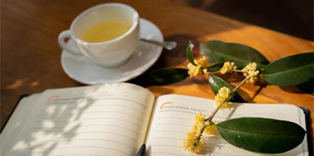 安徽新东方的桂花开啦！你看到了吗？