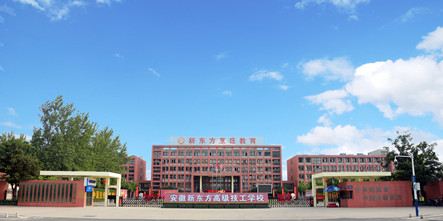 2022年新东方烹饪教育专业升级校企联席会议圆满举行