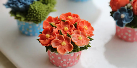 春暖花开，安徽新东方送你一朵不会凋谢的花