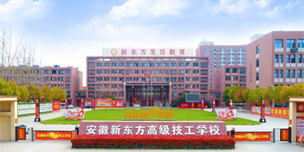 考大学不如学技术 传统学历教育不再是成才唯一标准