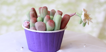 短期学西点，需要多长时间？