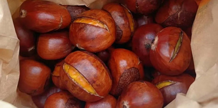 秋冬季创业做什么好？烤红薯、炒板栗、糖葫芦一起来了解！