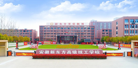 新东方烹饪冲上热搜，凭什么？