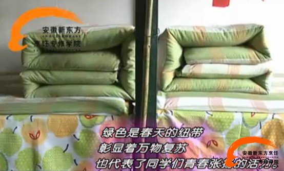 安徽新东方烹饪学院寝室文化展