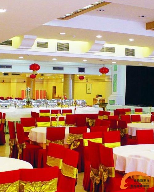 新东方烹饪大师为您解析餐饮创意