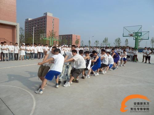 2012年运动会拔河比赛