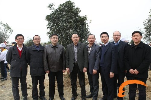 我院领导齐植树 