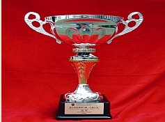 博士顿调酒冠军