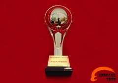 职业教育成就奖