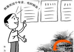 高考填报志愿需慎重:专业应大于学校 高考填报志愿需慎重:专业应大于学校