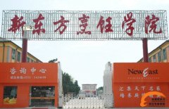网易独家报道—高考落榜怎么办? 网易独家报道—高考落榜怎么办?