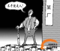 网易独家报道——学厨师 轻松就业 网易独家报道——学厨师 轻松就业