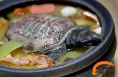 冬季滋补徽菜——清炖马蹄鳖