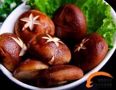 盘点蘑菇不可取代的4大好处