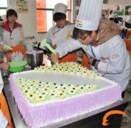 女孩子初中没毕业学什么好？