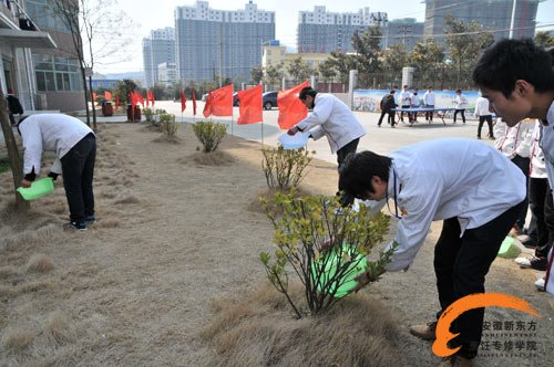 植树节 安徽新东方烹饪学院