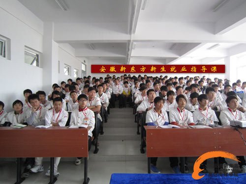就业指导课 安徽新东方
