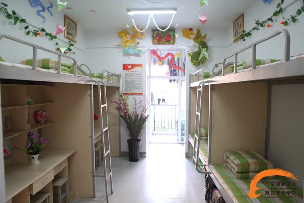 安徽新东方创新校园文化 提升职业教育学生竞争力