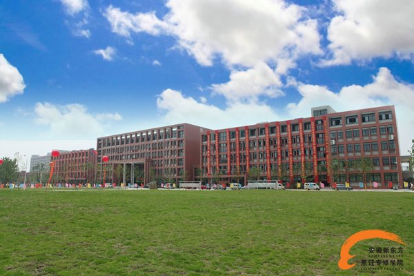 义务兵退役后如何进行求职择业的市场定位