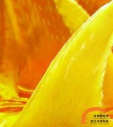 安徽新东方烹饪学院的大师教你辨别真假鱼翅