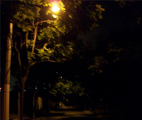 【美食节实录】早市守望者