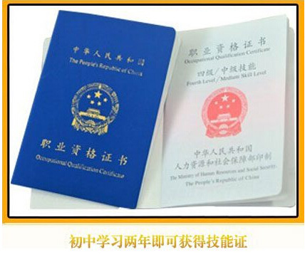 初中生学什么好